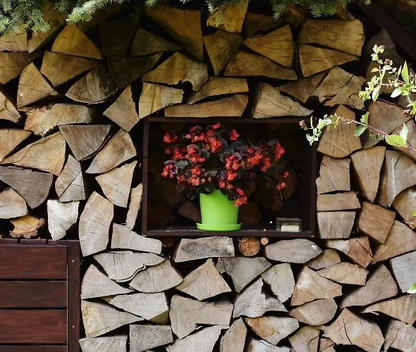 Cozy In Appartamento